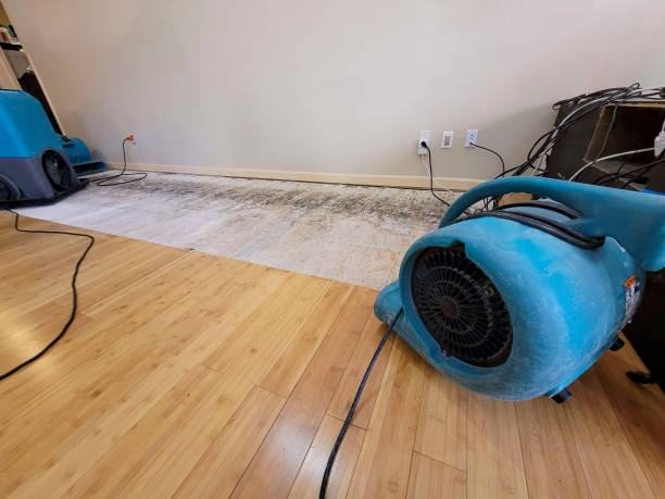 Professional Flood Damage Cleanup technician working in Willow Beach, AZ